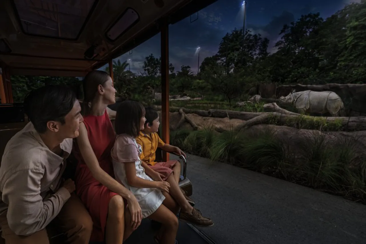 Night Safari